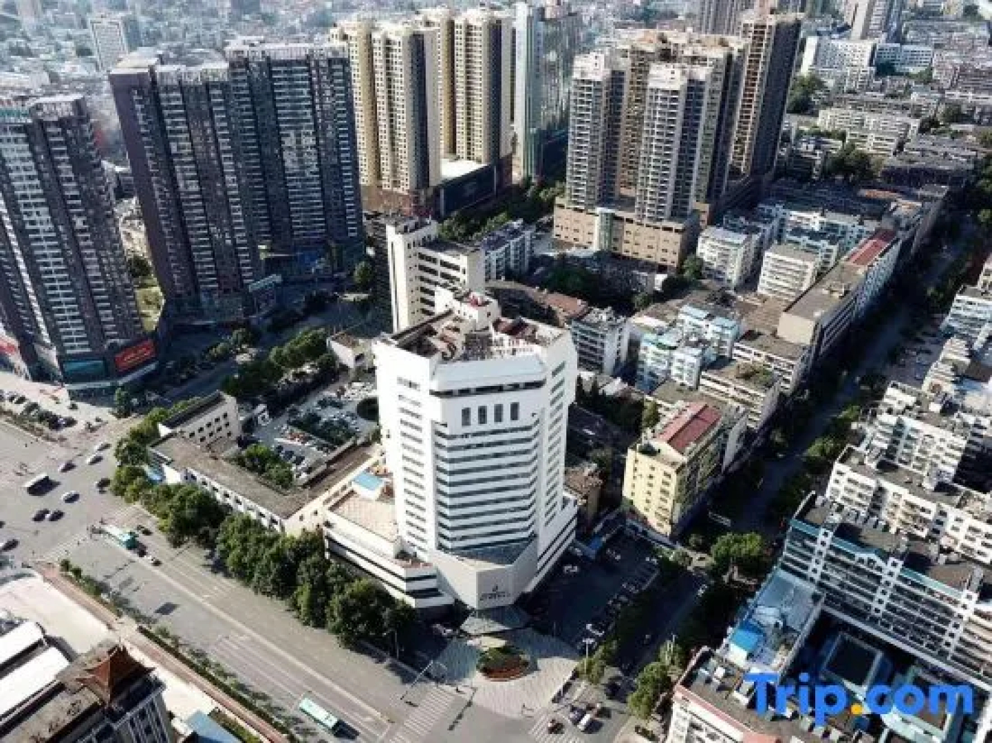 Harbour City Hotel
