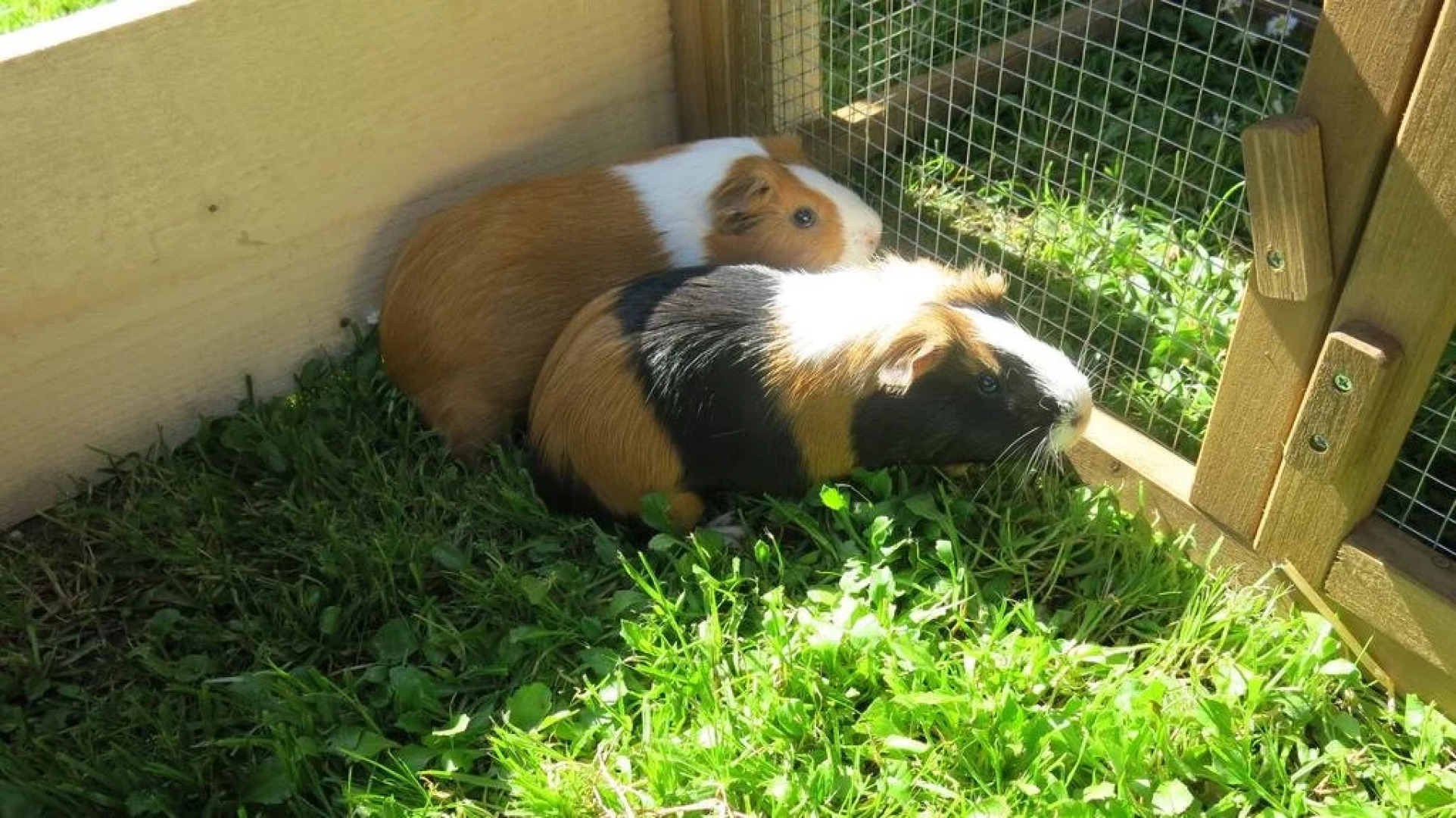 Mondi-Holiday Chalet Bellevue Alm