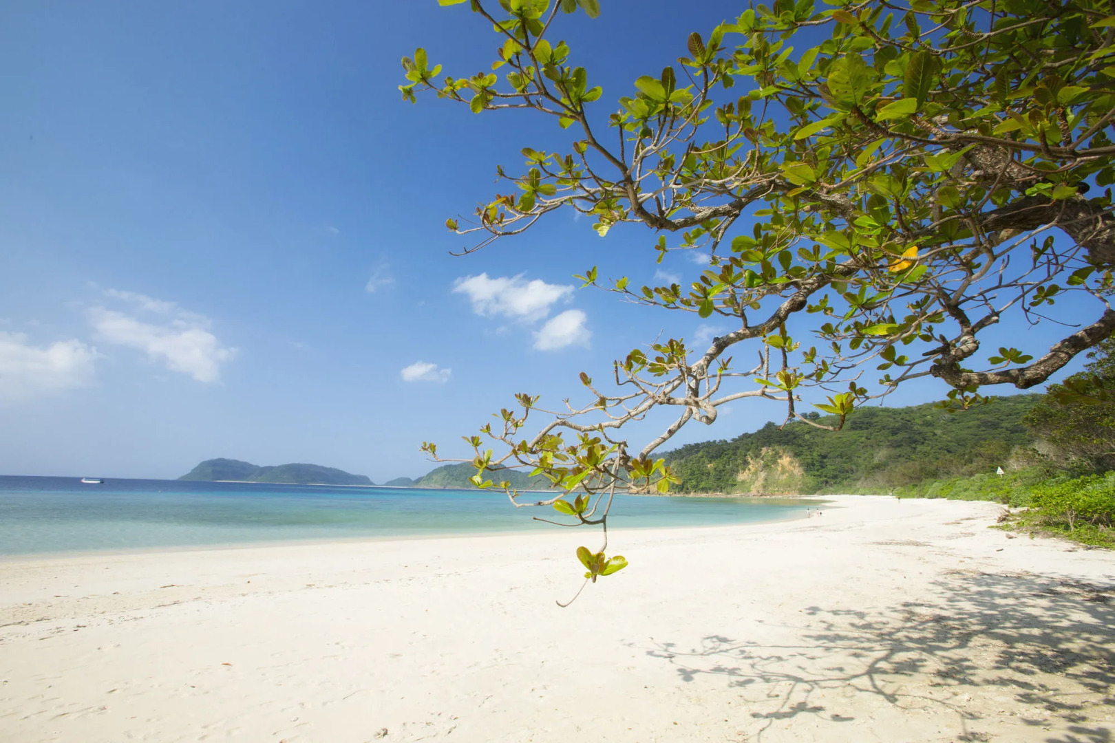 Iriomote Hotel by Hoshino Resorts