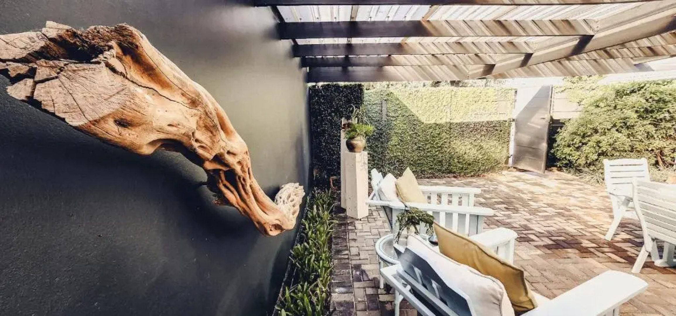 The Seagull Hermanus