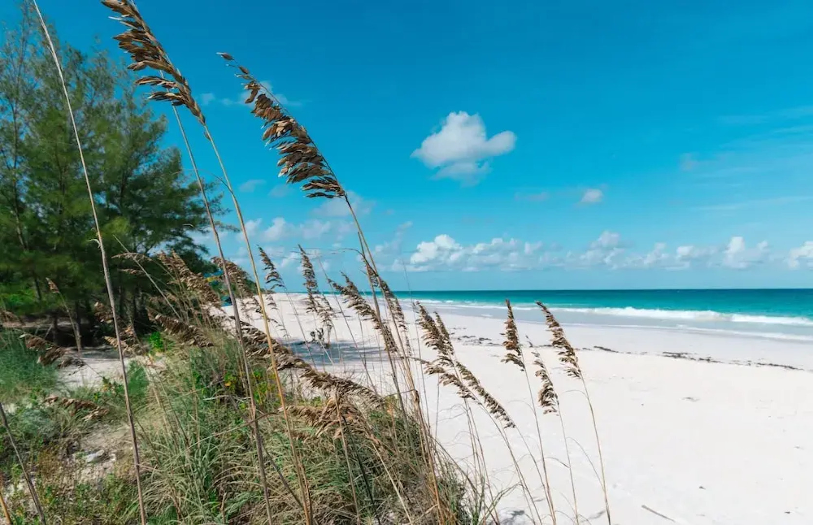 Sea Song Hi 4 Bedroom Home