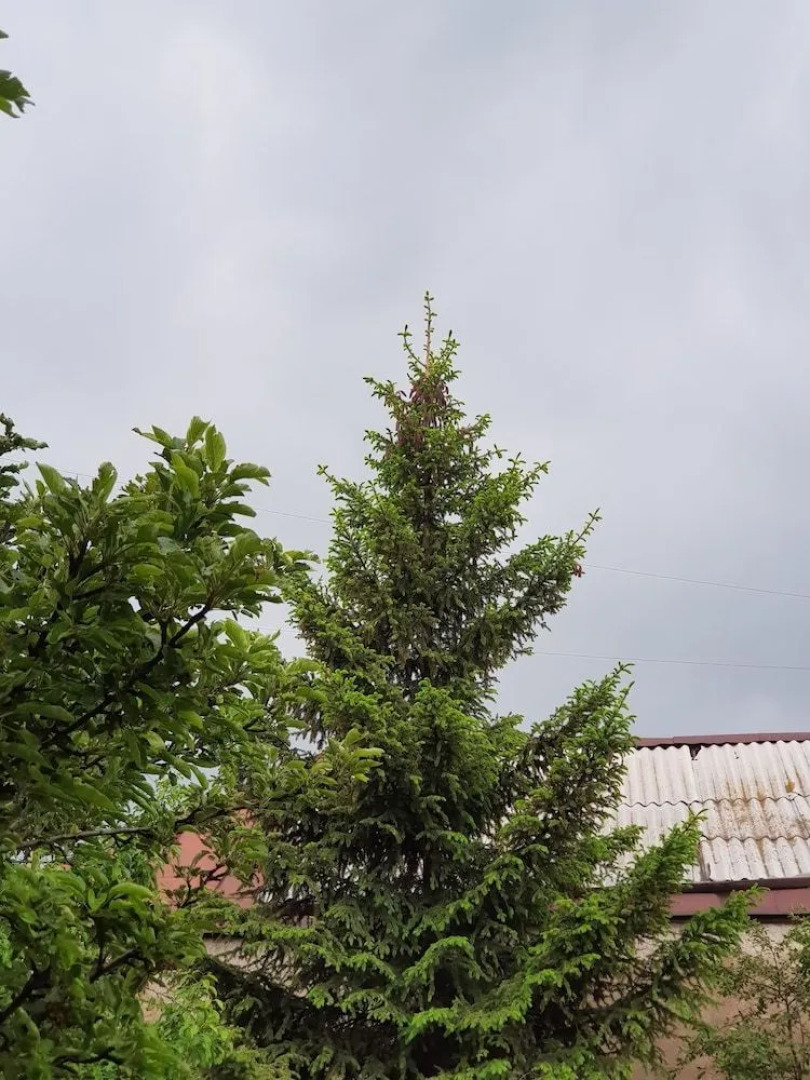 Mountain Lake Villa B&B