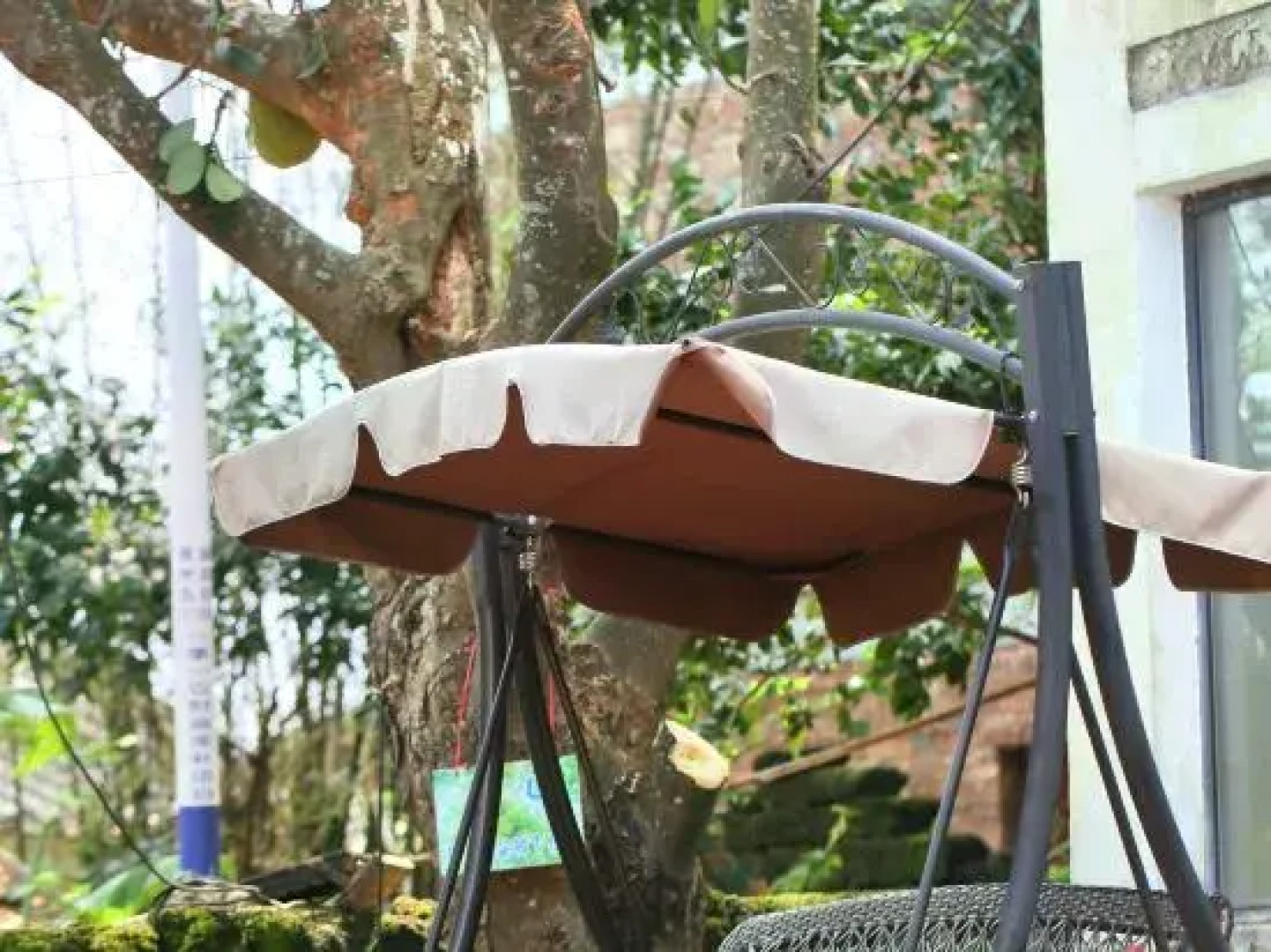 Feiyu Islande Life Guest House