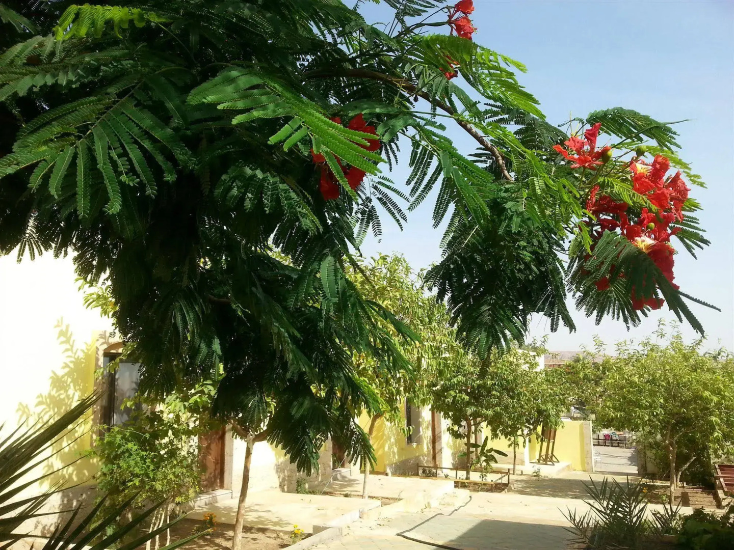 Darna Village Beach Hostel