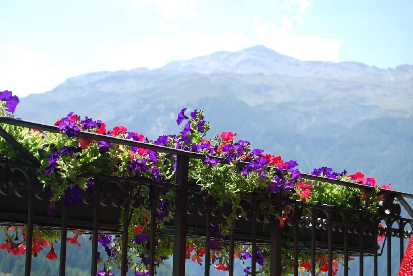 Residence Larice Bianco