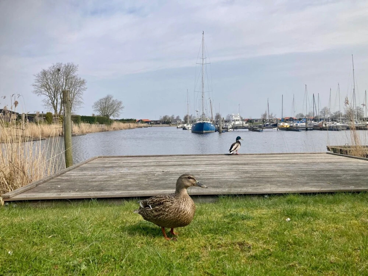 Chalet Valentina With Sauna by the Lauwersmeer