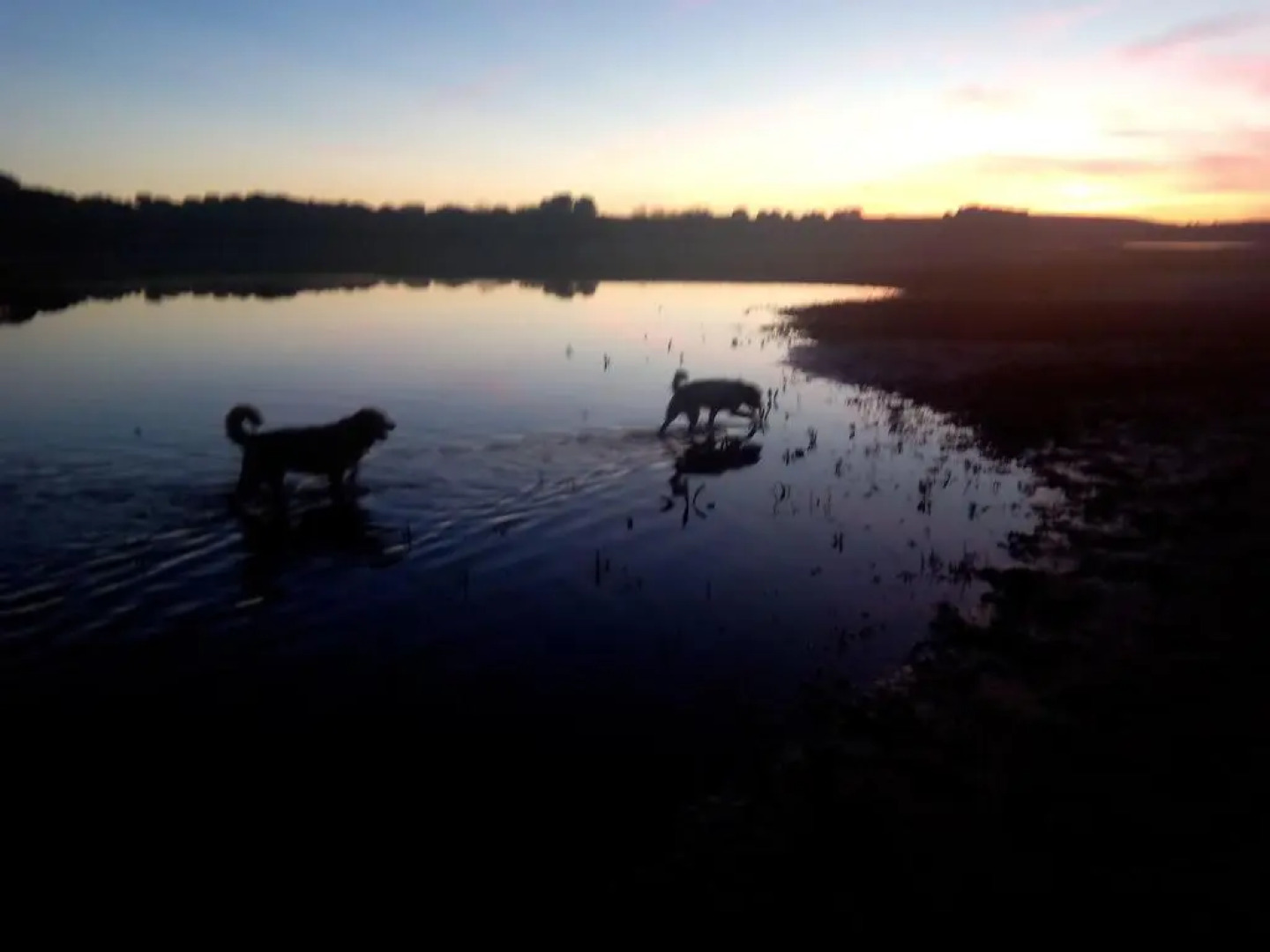 El Paso De Las Ciguenas