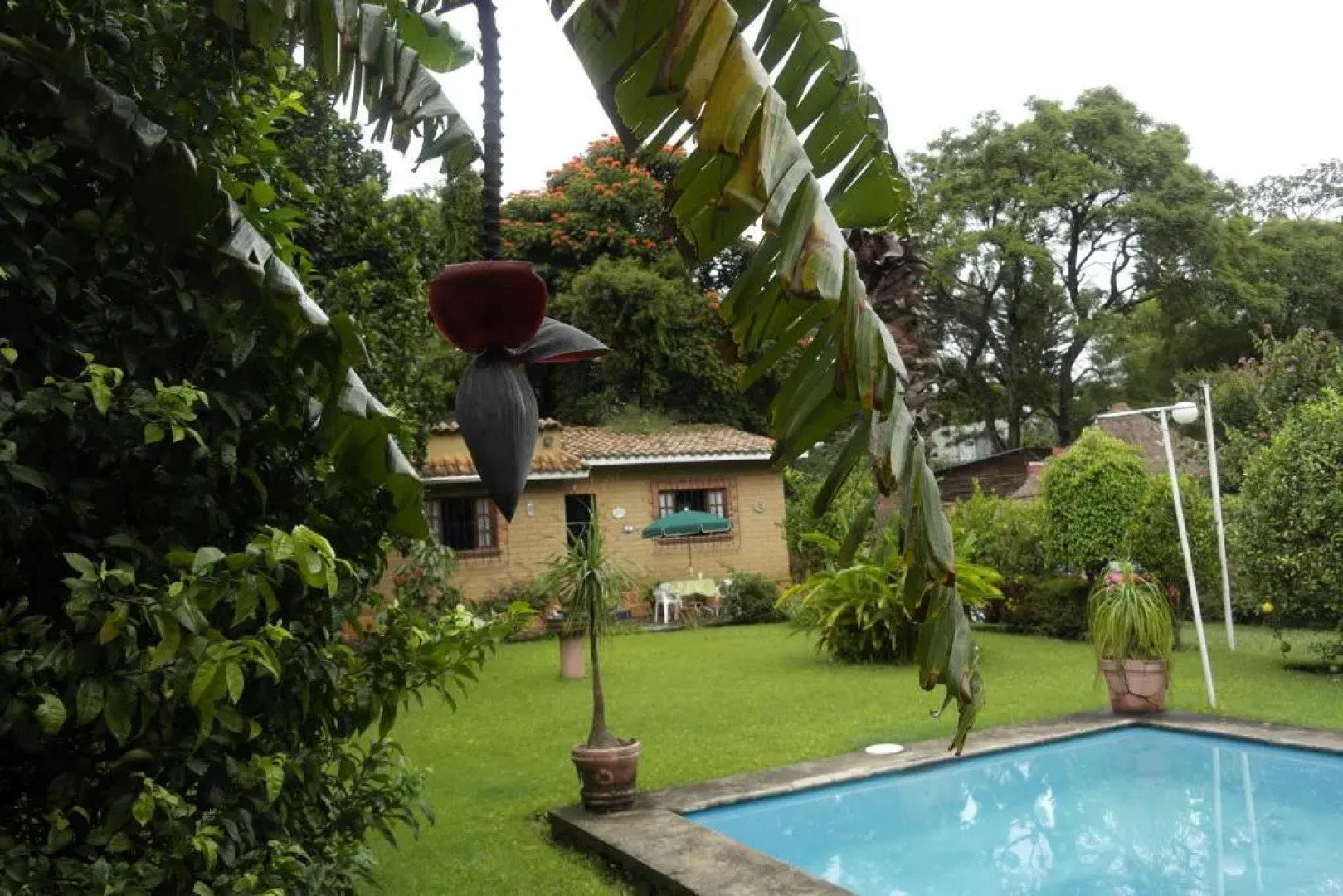 El Refugio de las Palomas