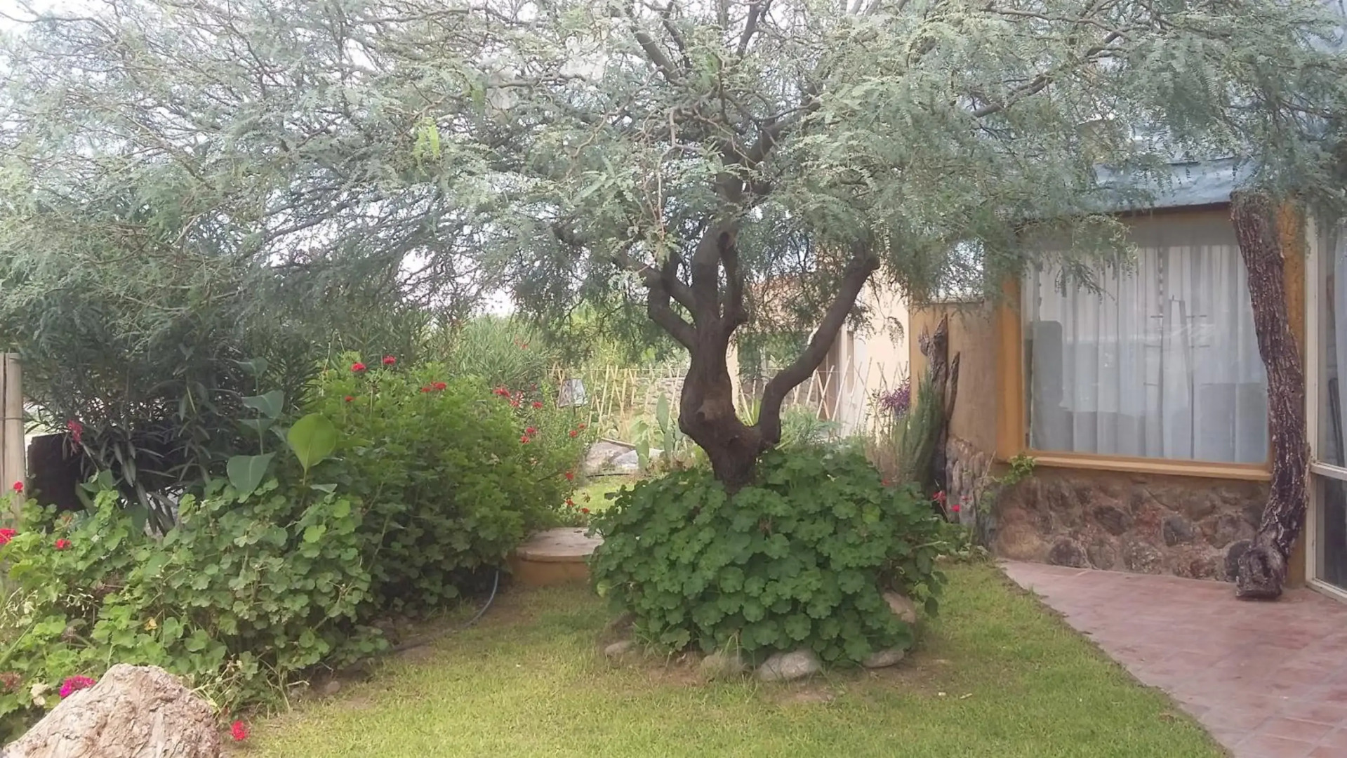 Cabañas Cafayate II