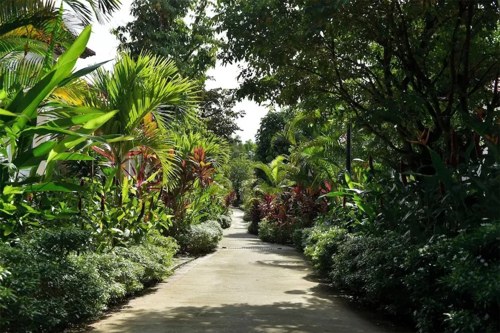 Rainforest Resort Phu Quoc