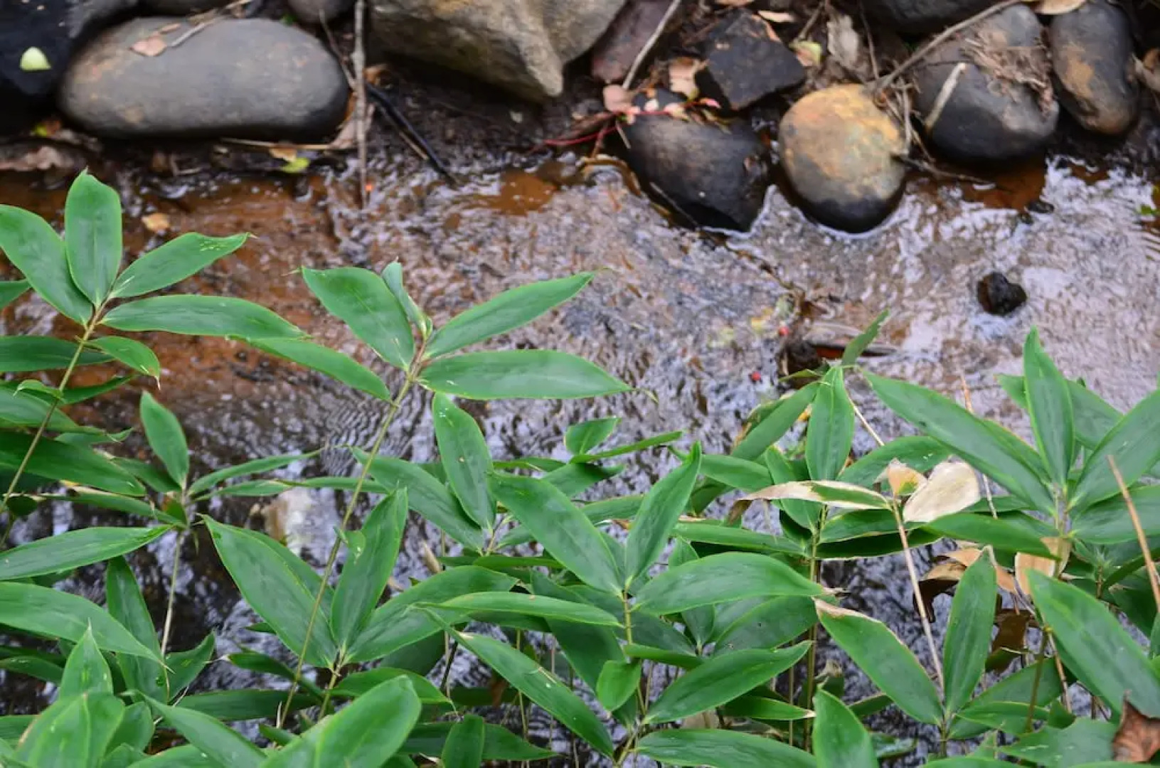 TKP Hotel & Resort Lectore Karuizawa