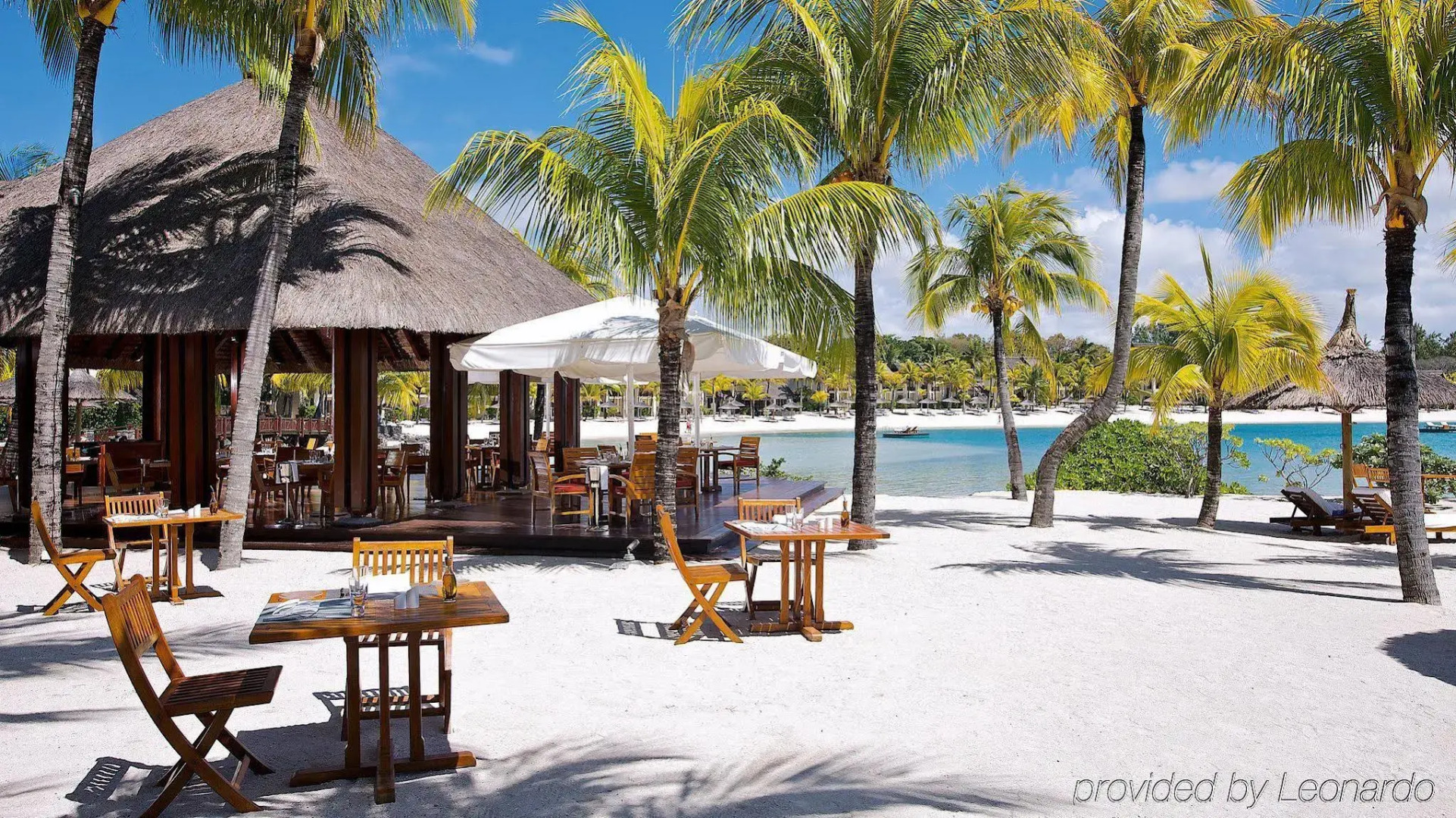 Tropical Attitude - Adults only