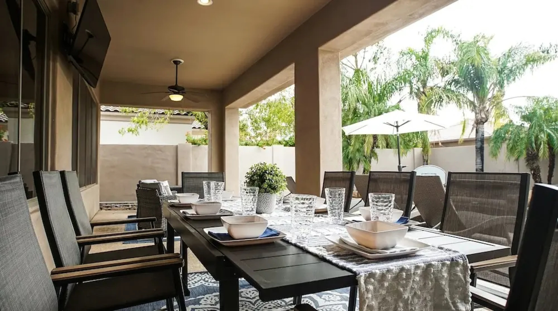 Lynx Chandler/ocotillo