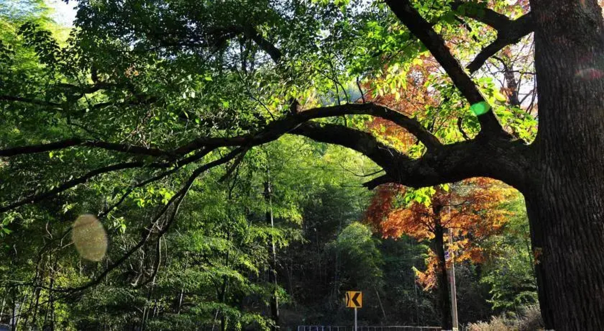 Huangshan No.19 Resort