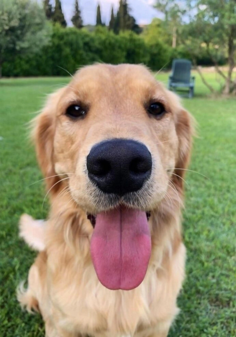 Relais Valpolicella B&B