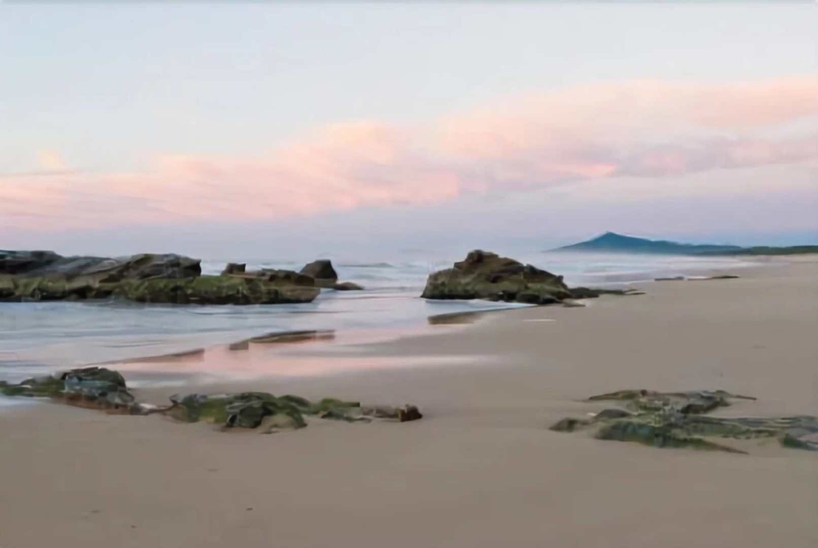 Bellinger River Tourist Park