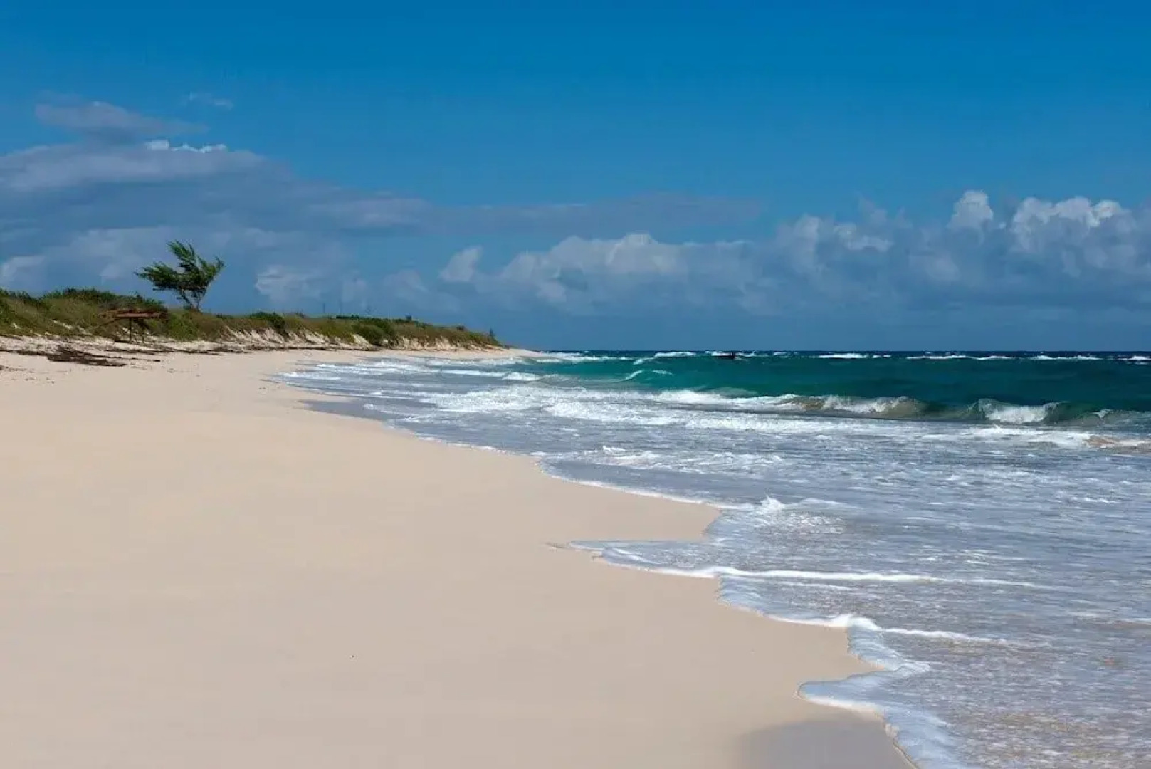 Buttonwood Reserve Main Lodge 1 Bedroom Home