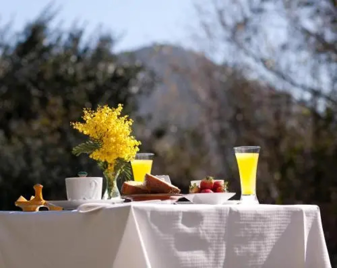 Hotel El Mirador de Ordiales