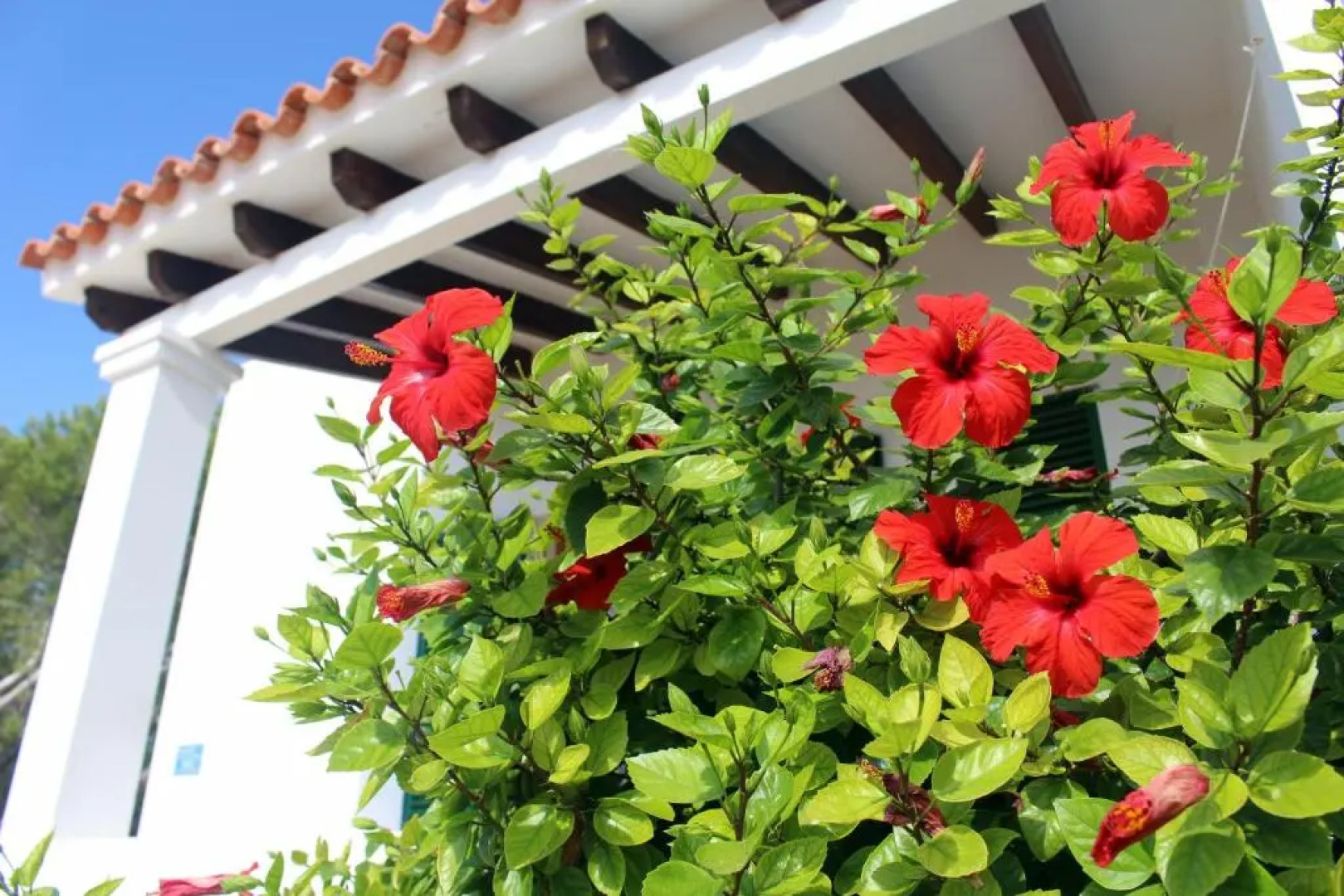 Astbury Apartments Voga Mari