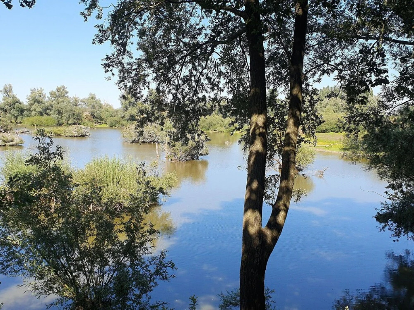 Holiday Home in Overberg With Private Garden and Terrace