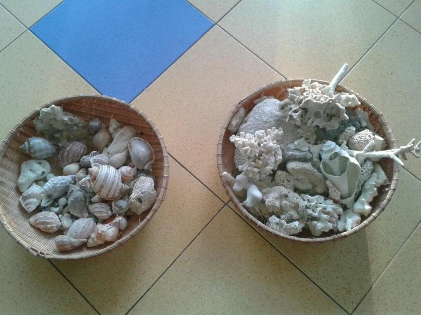 The Colourful Mansion Hotel