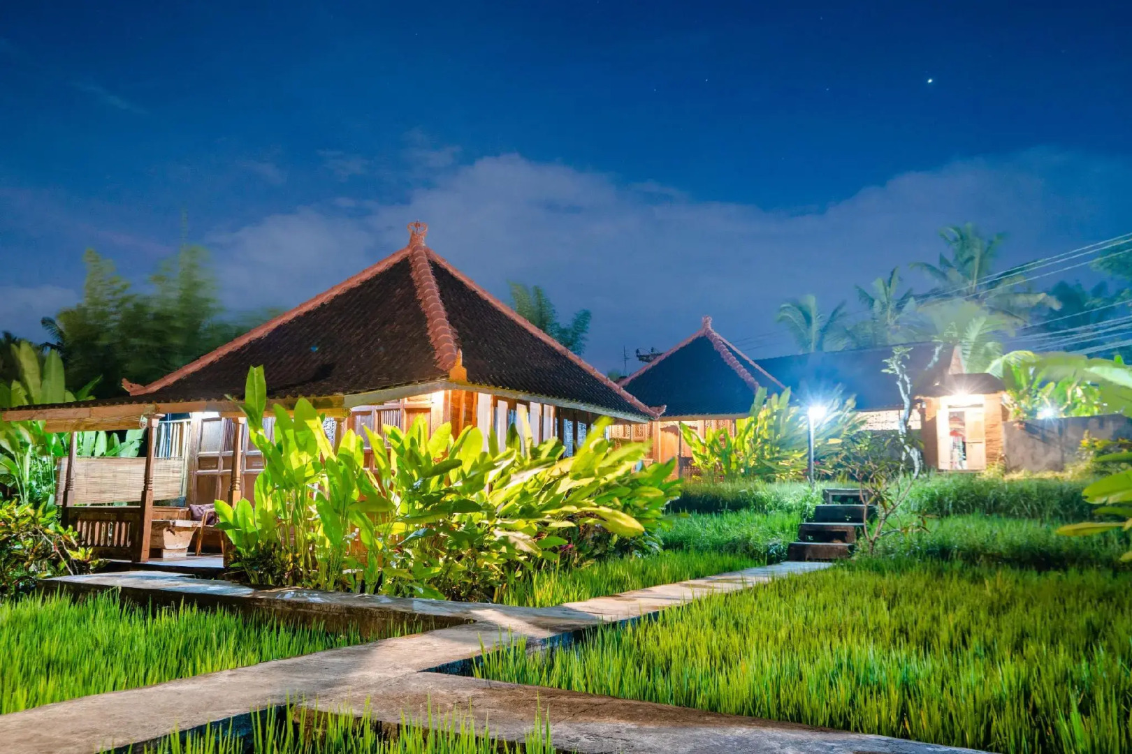 Ubud Sawah Homestay
