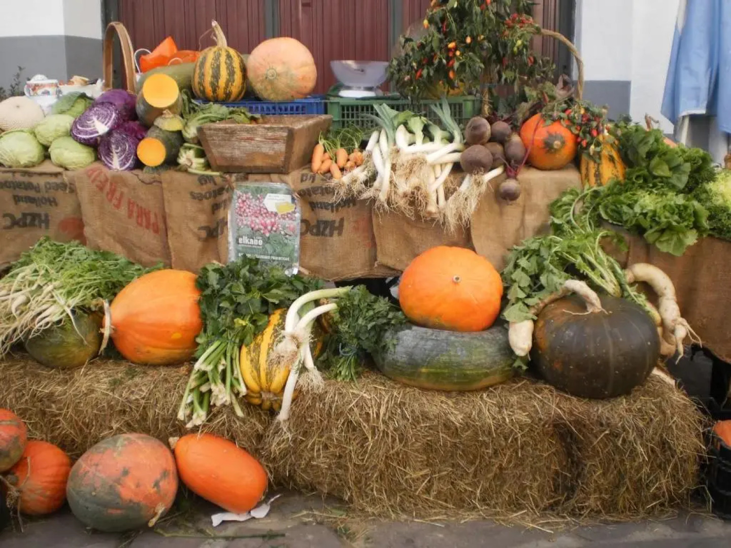 Larraenea Bed and Breakfast