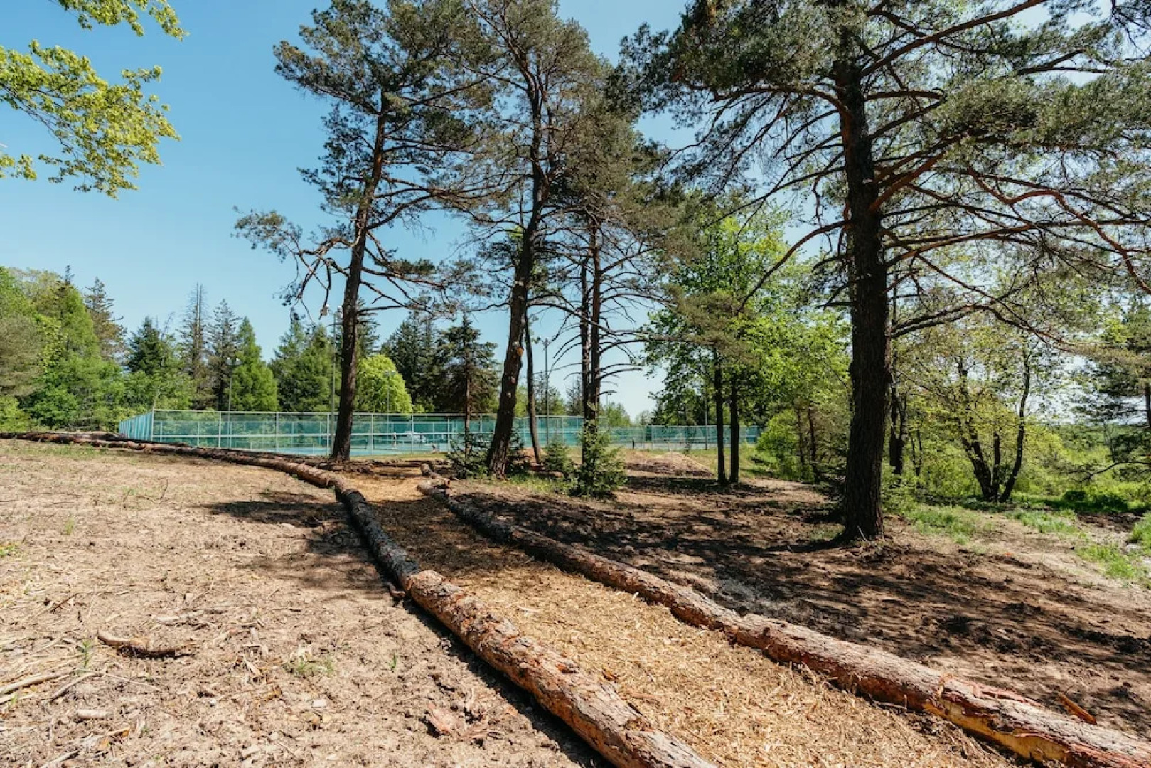 Roscoe Mountain Club