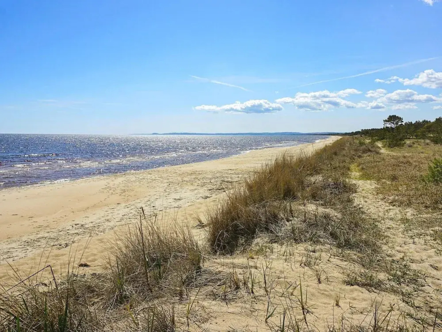 1 Person Holiday Home in Bromolla-by Traum