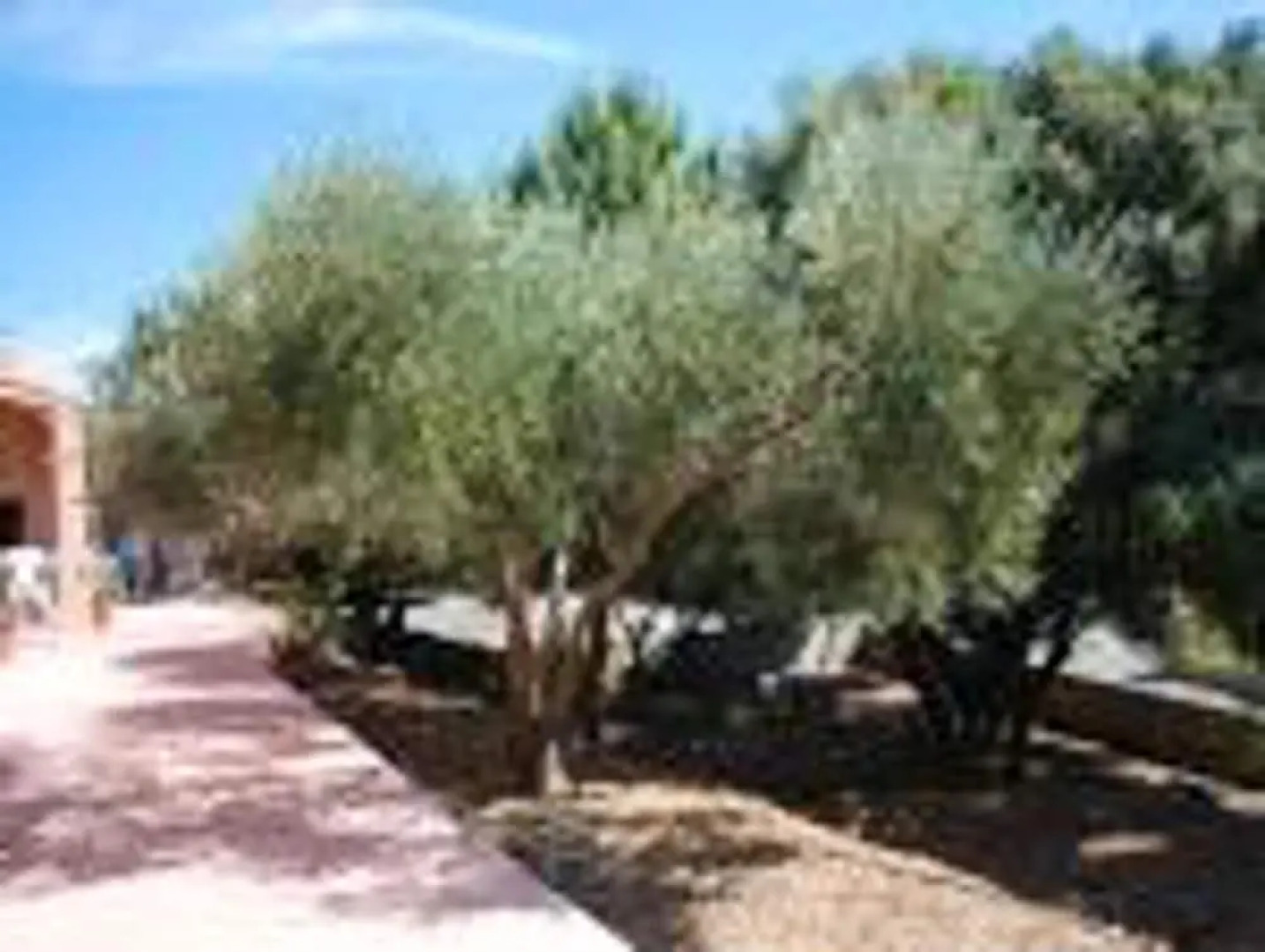 Villa With 3 Bedrooms in Eyragues, With Private Pool, Enclosed Garden