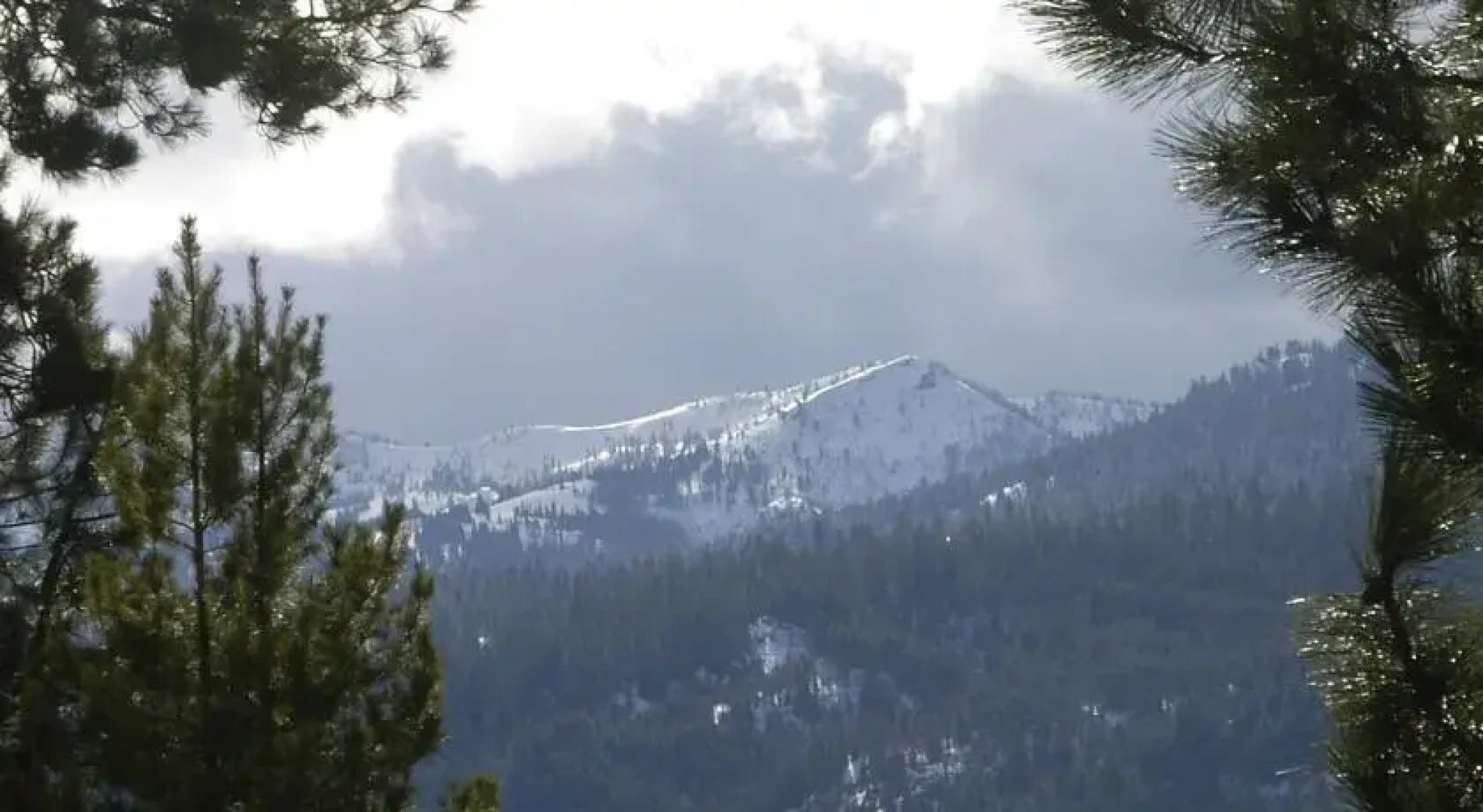 Island Ranch Vacation Retreat