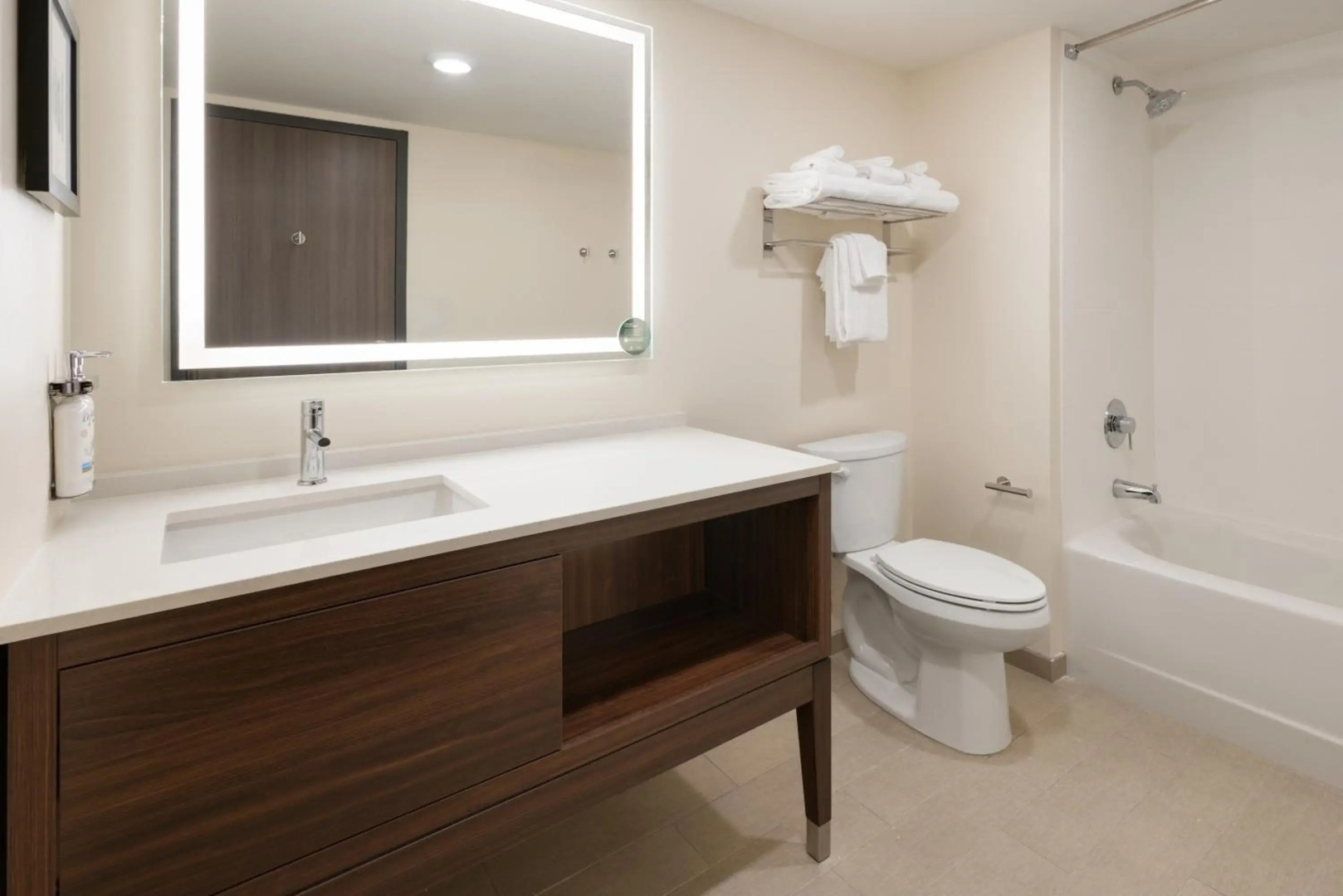 Holiday Inn Hotel and Suites Richmond West End by IHG