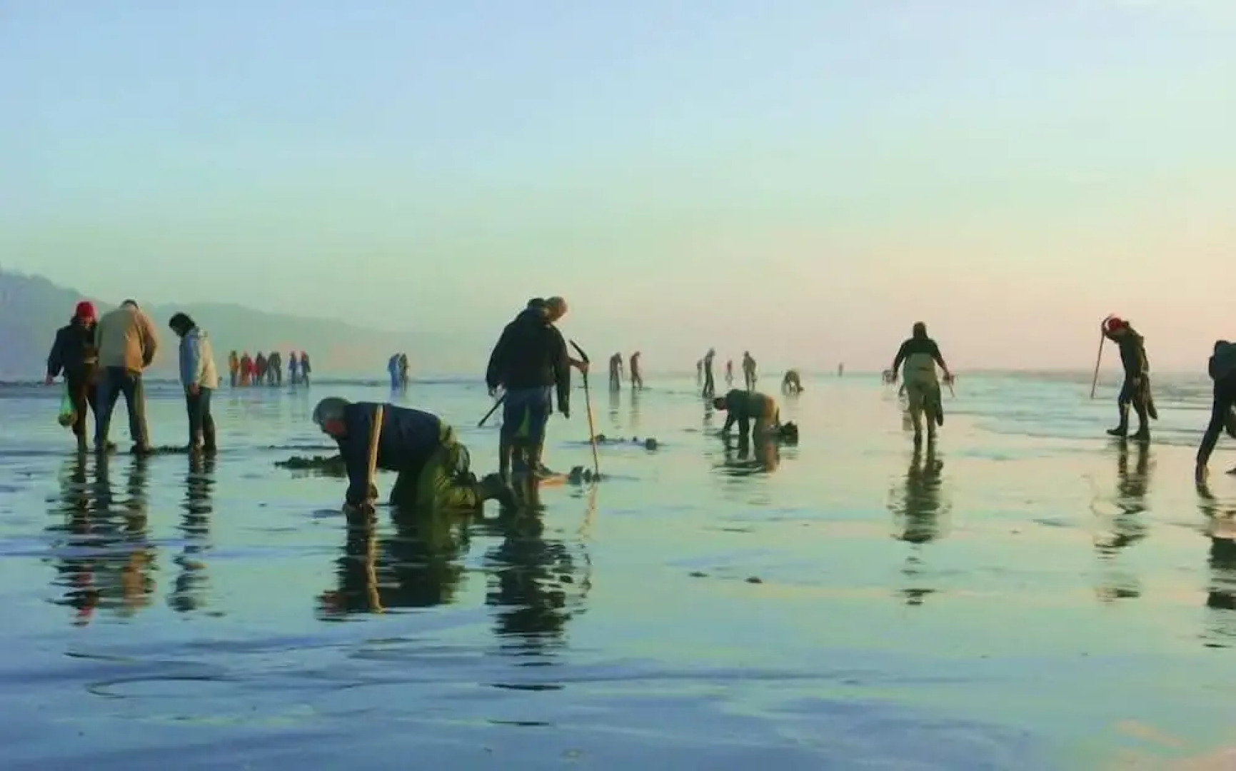 Pacific Dunes Resort