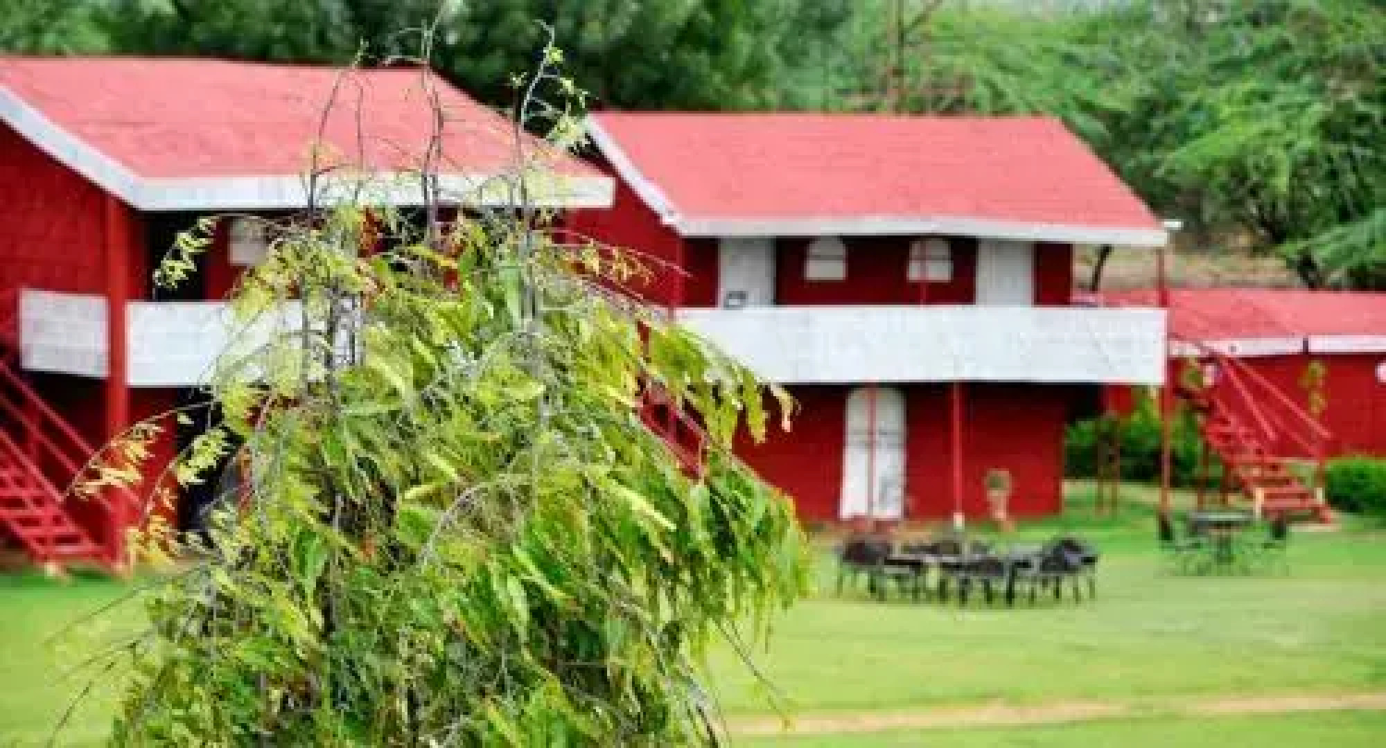 Shakti Resort Pushkar