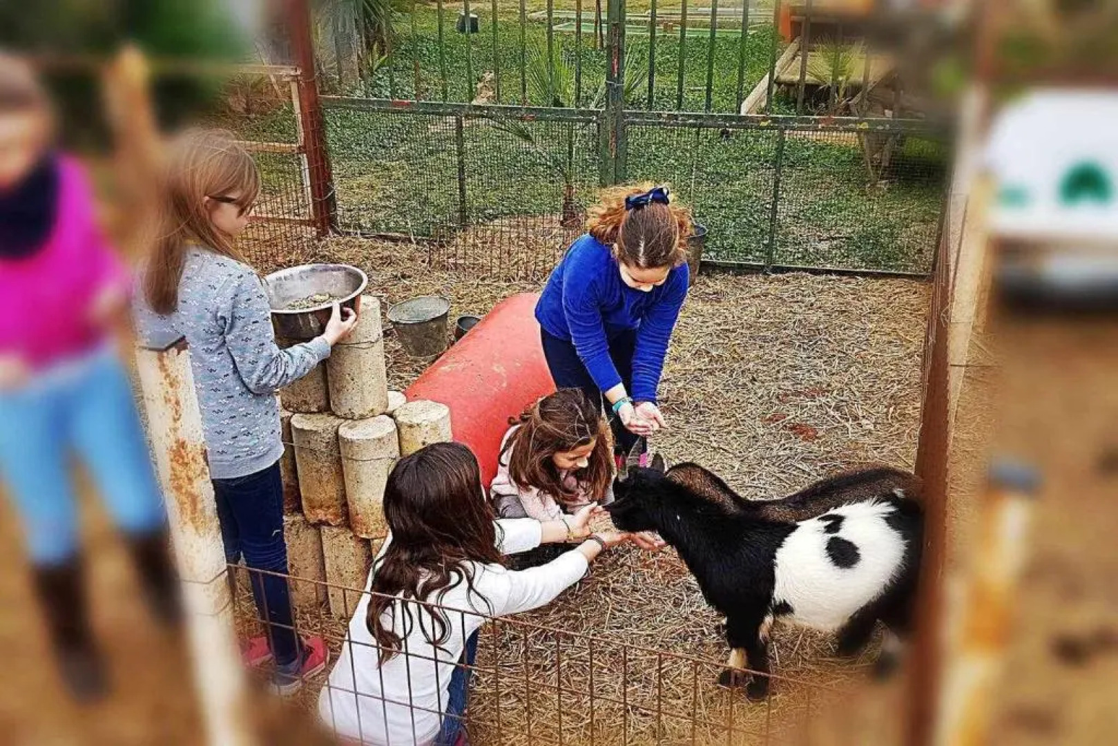 Casa Rural Finca Real De Niebla