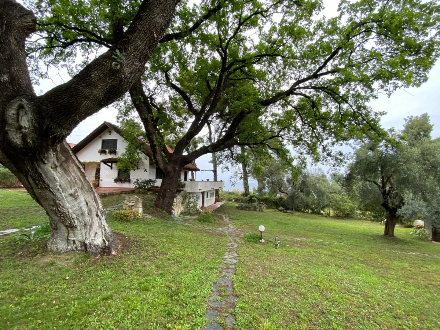 Wild Oaks Cottage