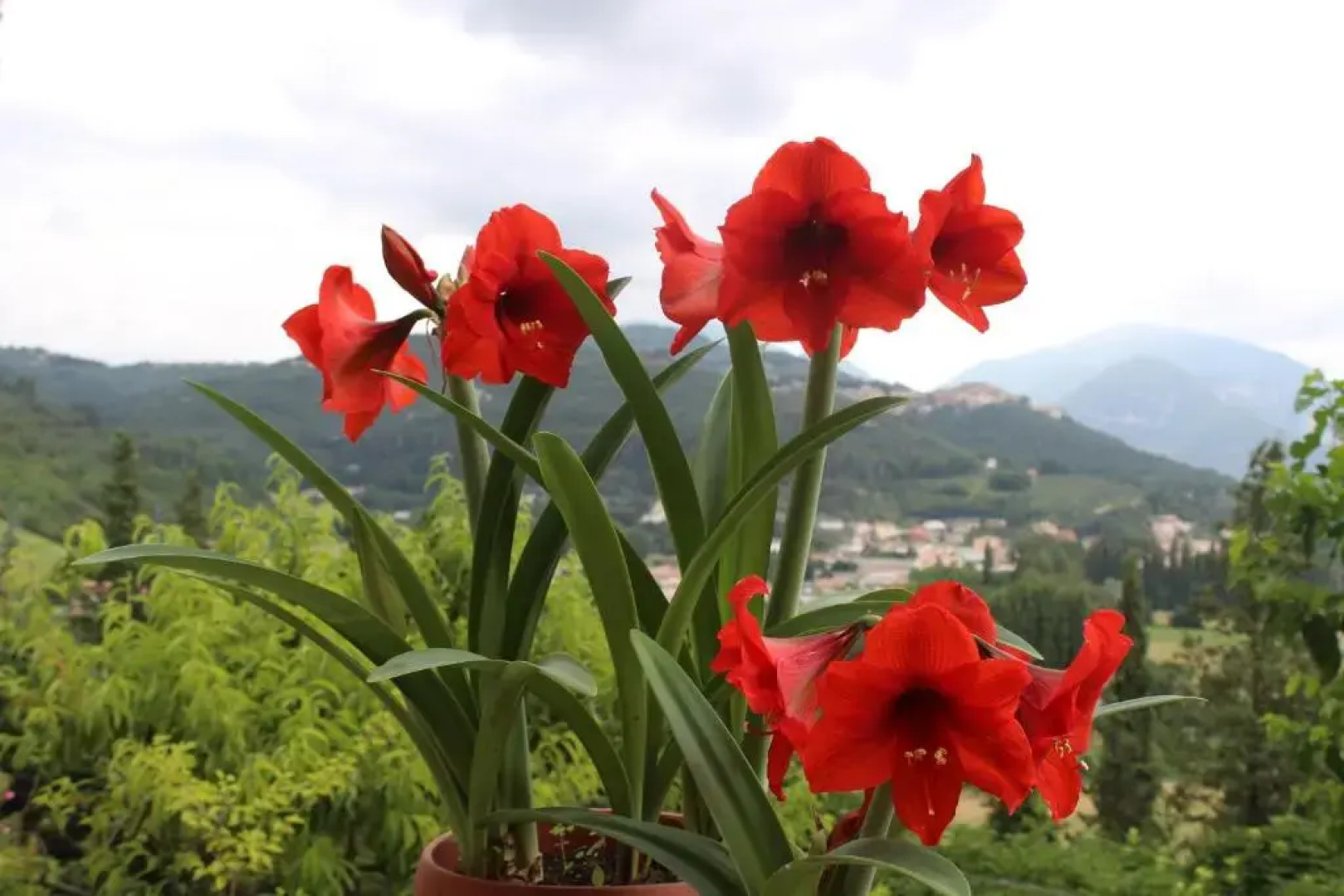 Il Castello sul Lago