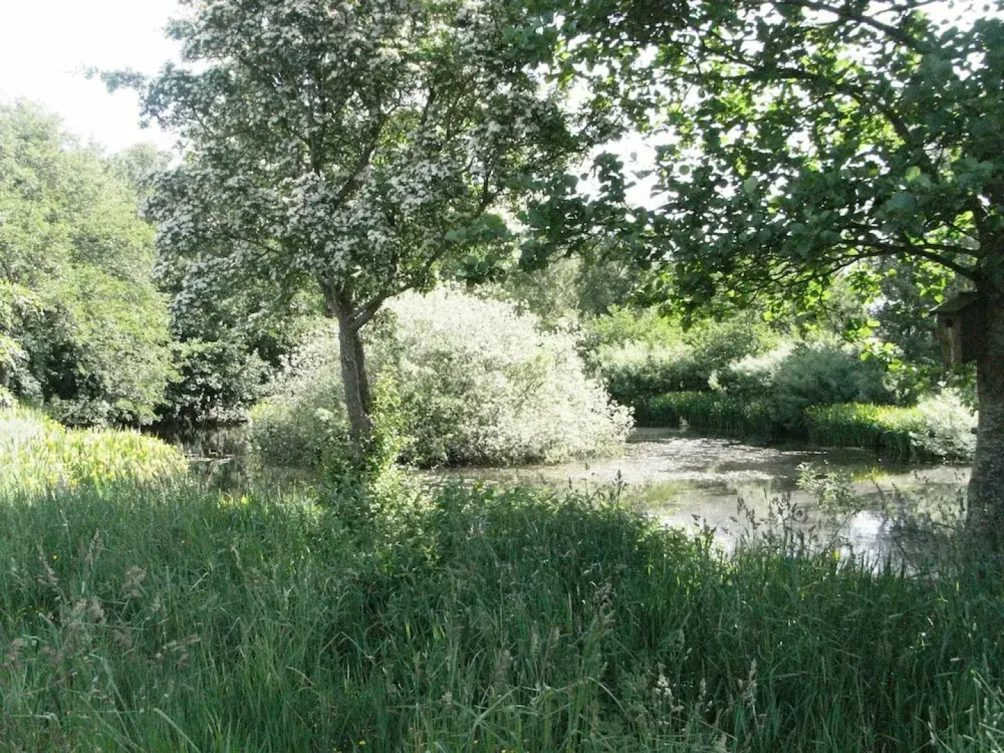 4 Person Holiday Home in Laeso