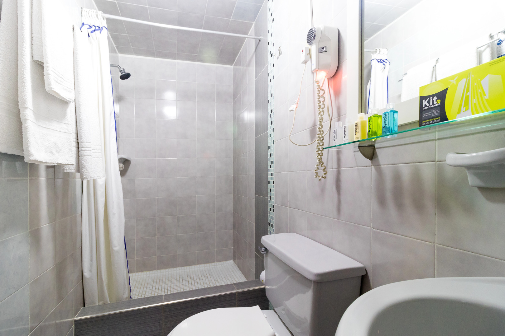 Hotel Virrey Central