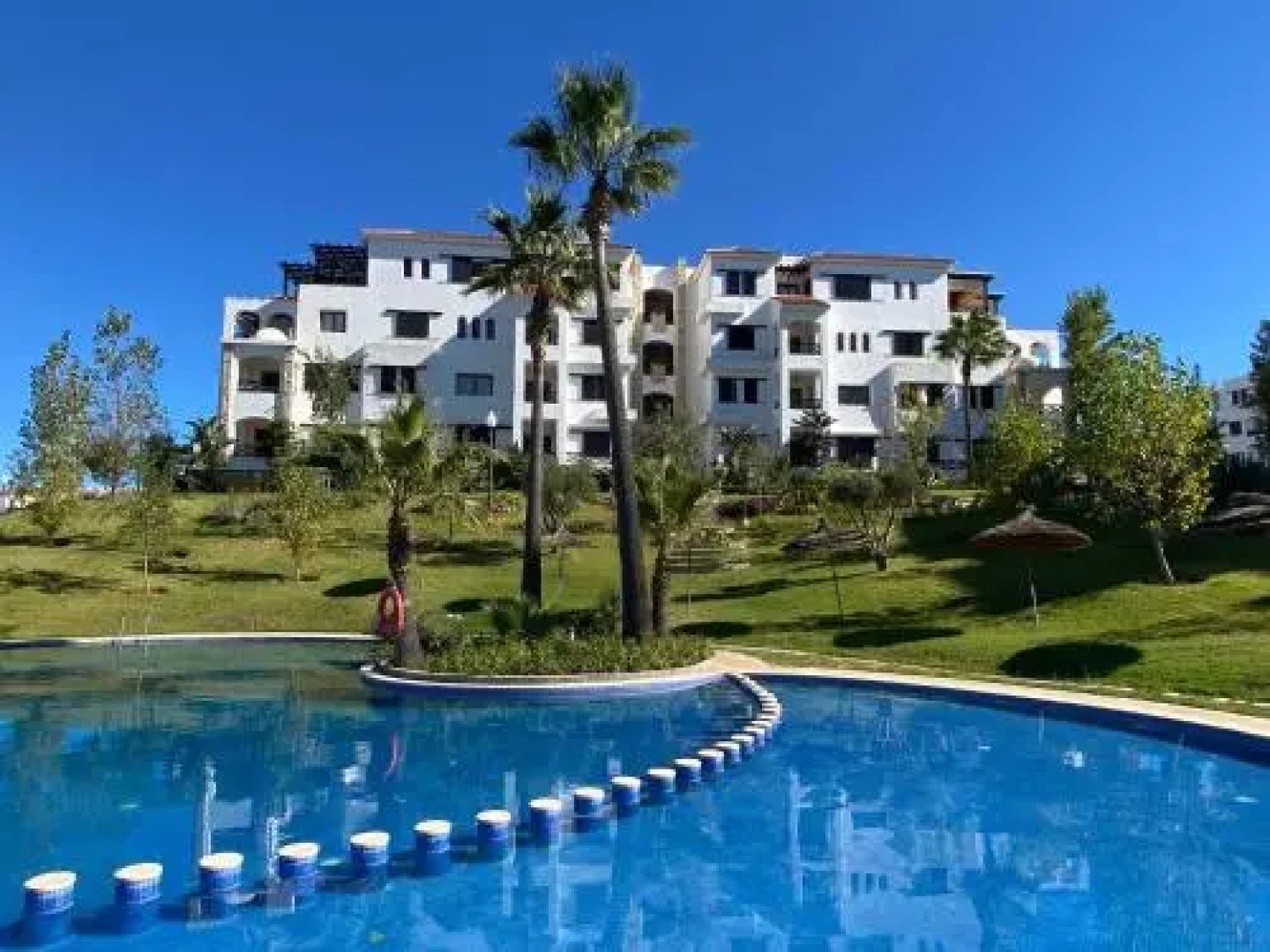 Lilac's Garden Cabo Negro