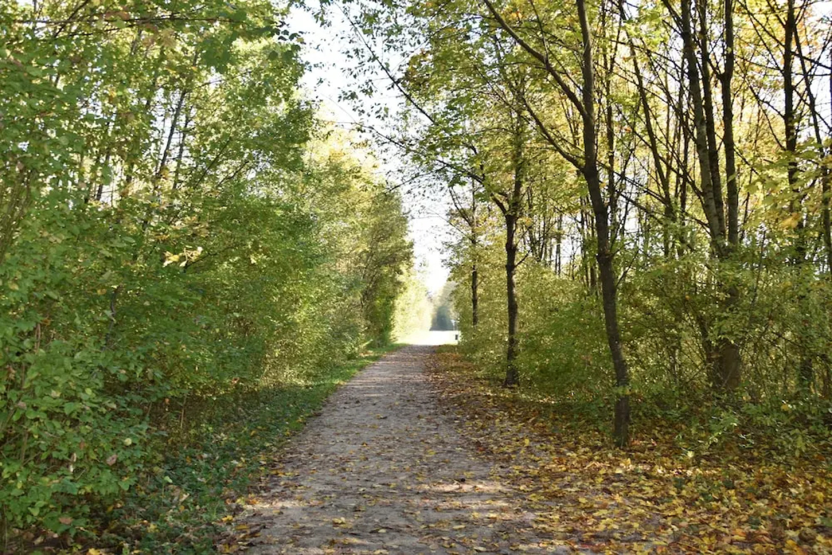 F Hotel 24h Check-In