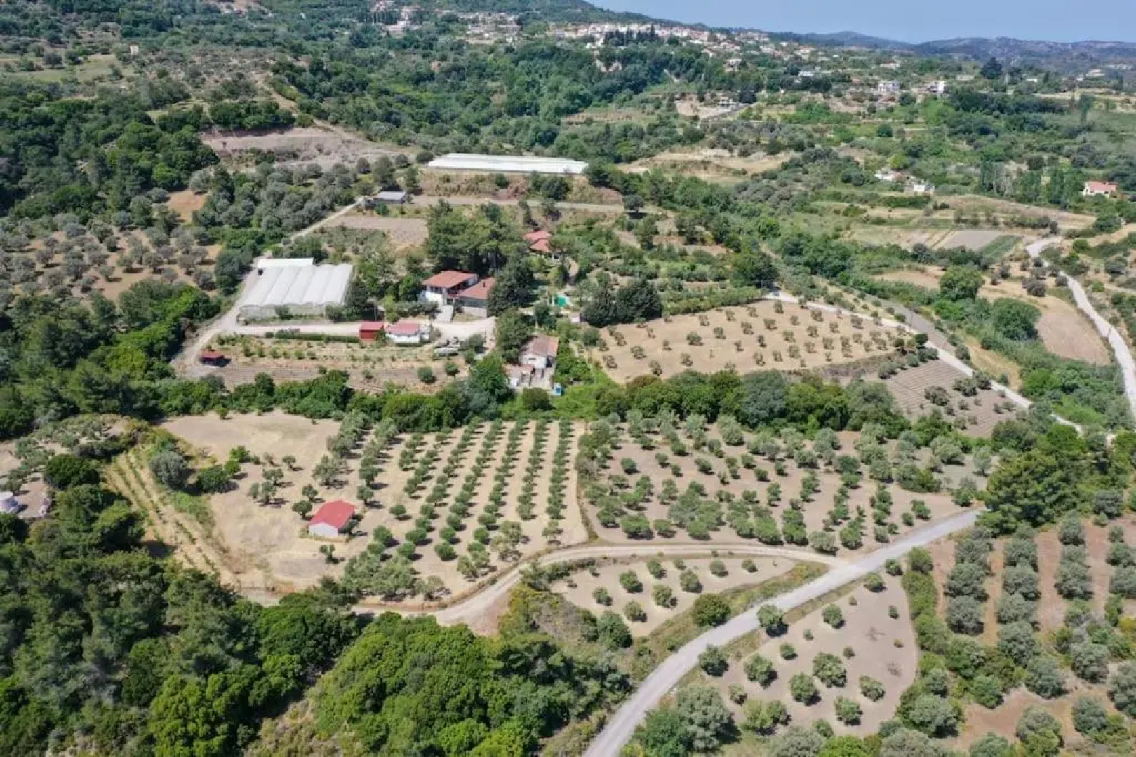 3 BD Luxurious villa with agriculture surroundings