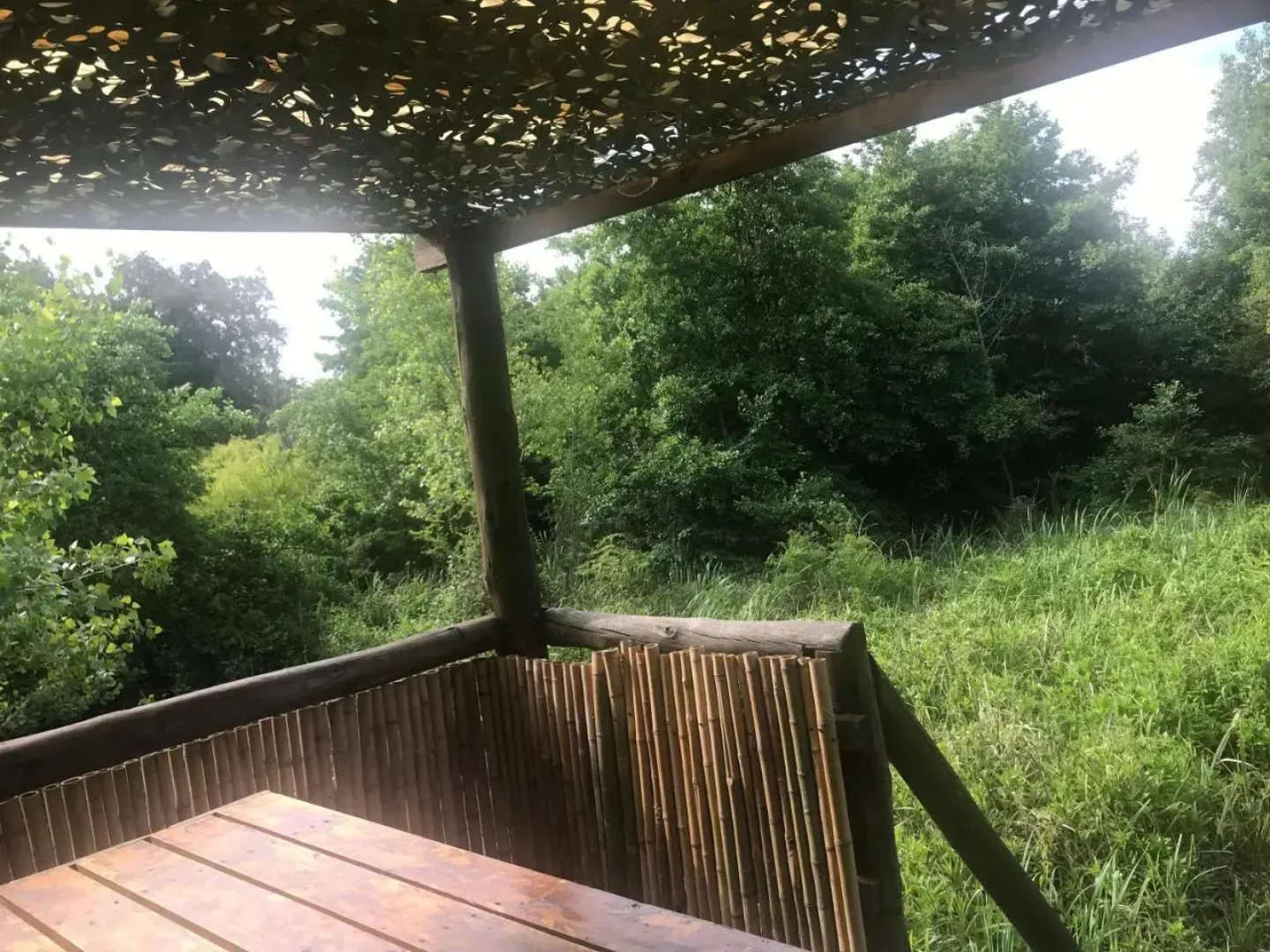 Cabaña en el Arroyo Pajarito