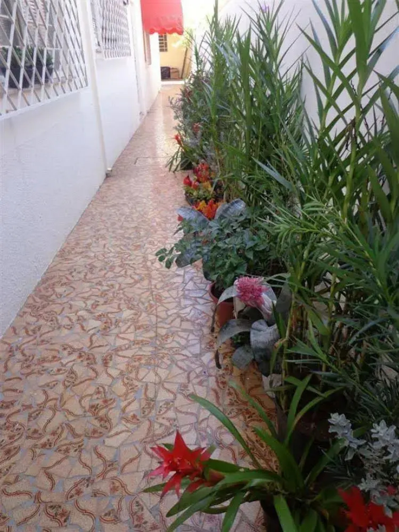 Ipê Rosa Hotel