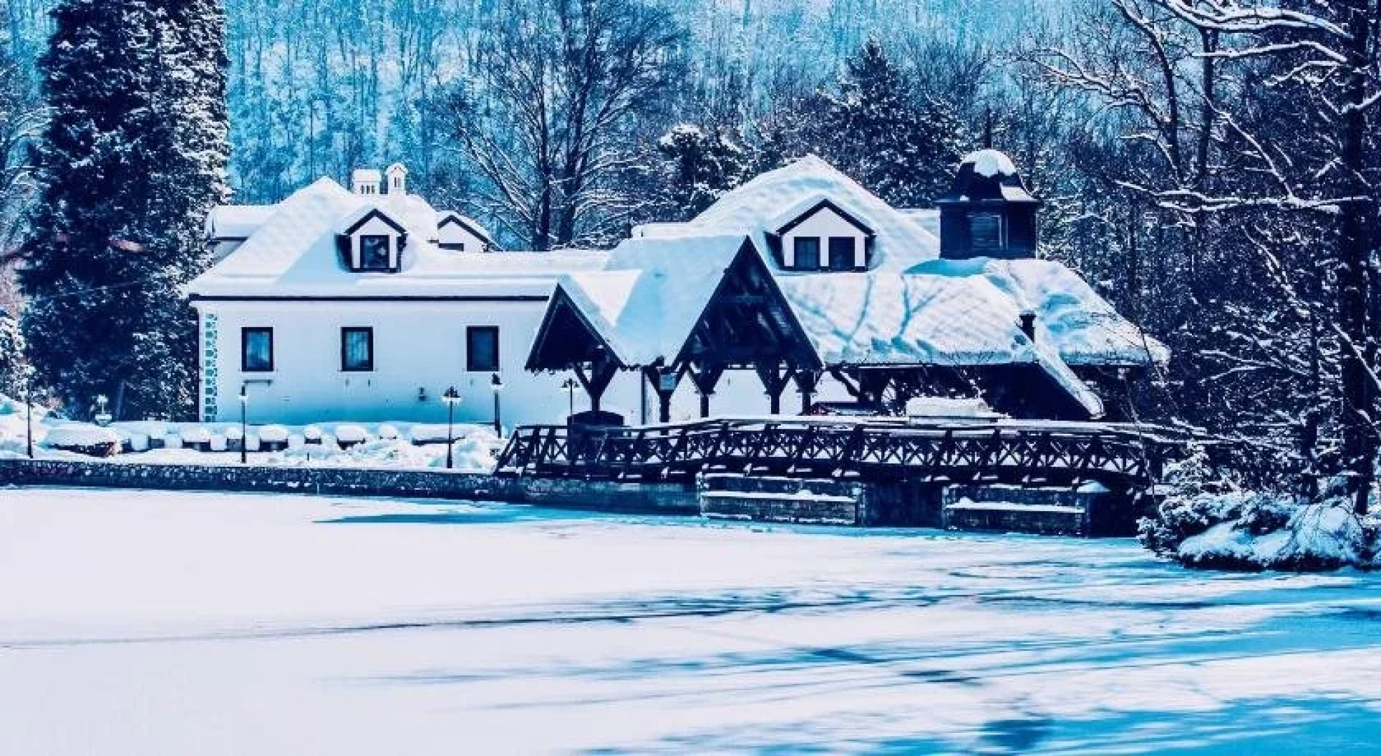 Hotel Bor & Grad Hrib