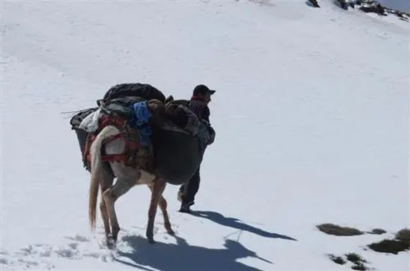 Gite Ifoulou Tassaout