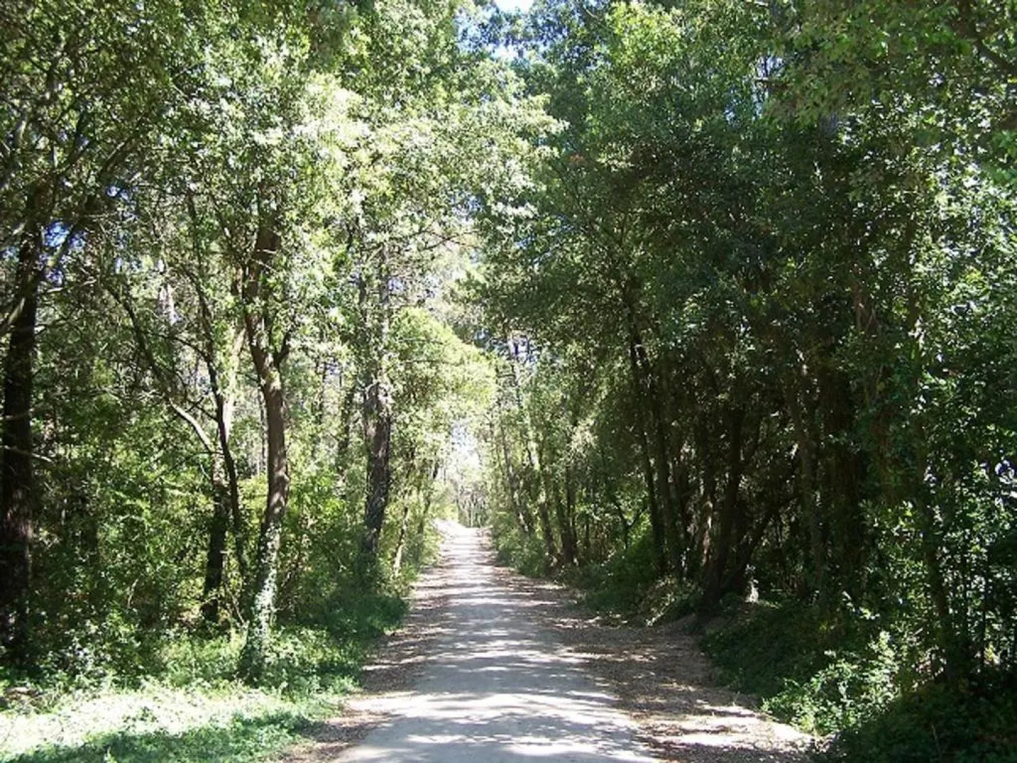 Maison La Barre-de-Monts, 2 pièces, 4 personnes - FR-1-473-9