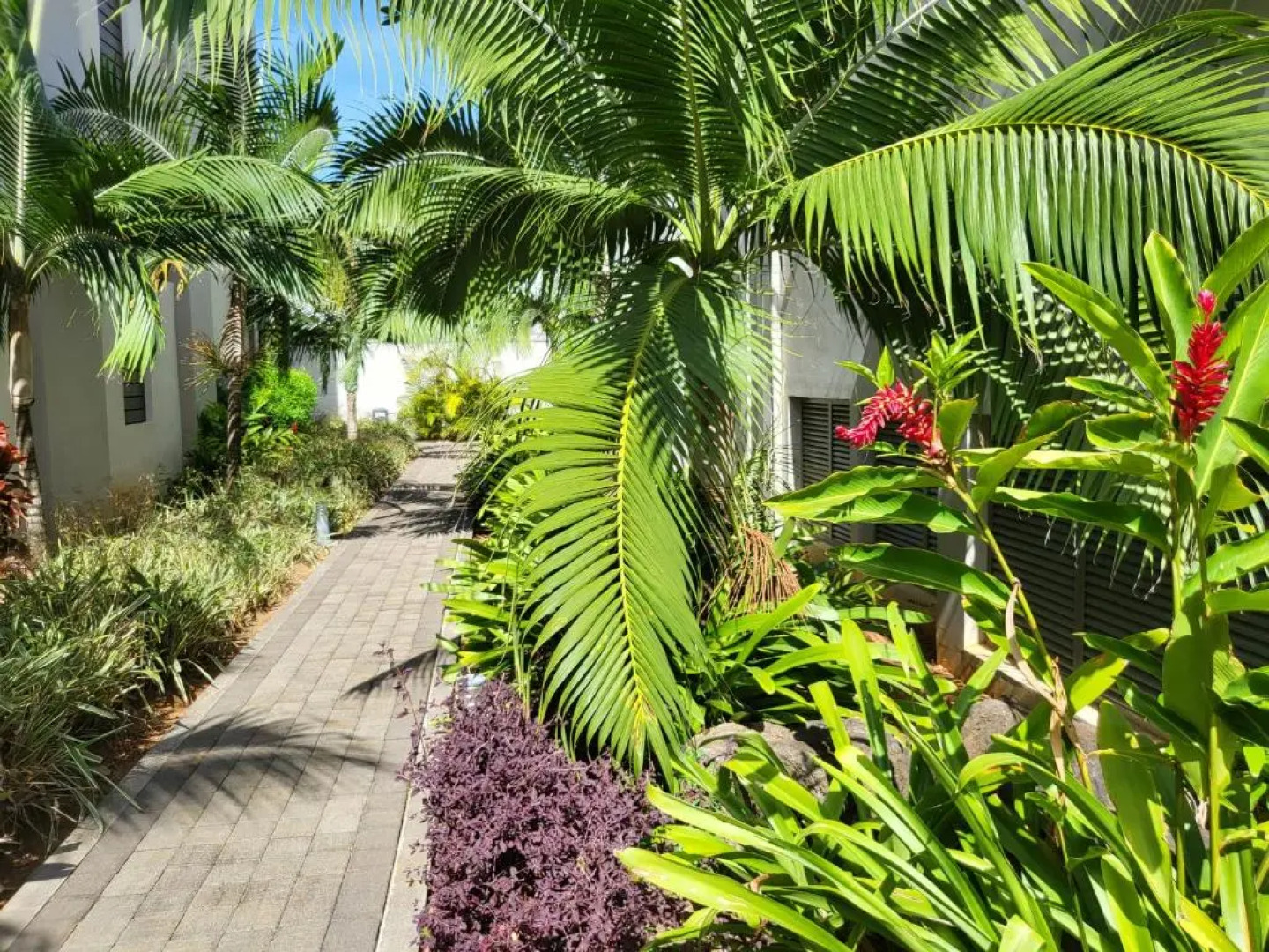 Beachwalk Deluxe Apartment - 50 steps to the beach