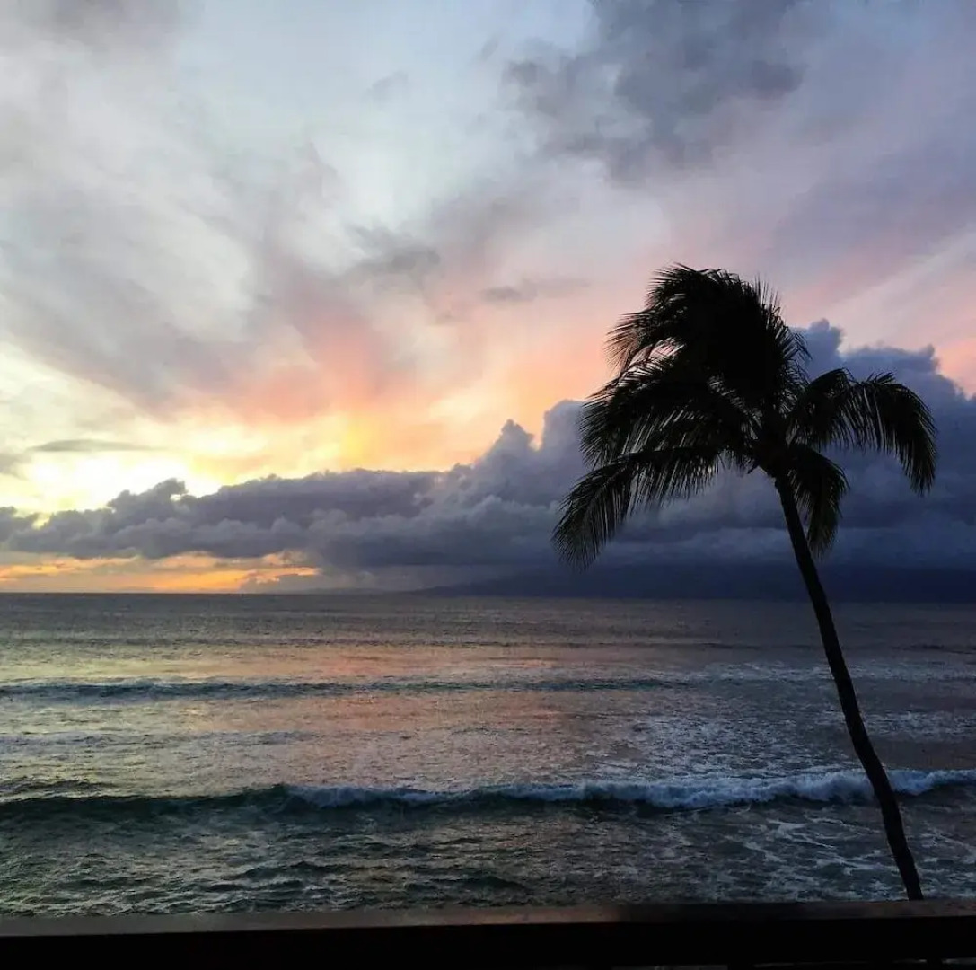 Kaleialoha #312 1 Bedroom 1 Bathroom Condo by Redawning