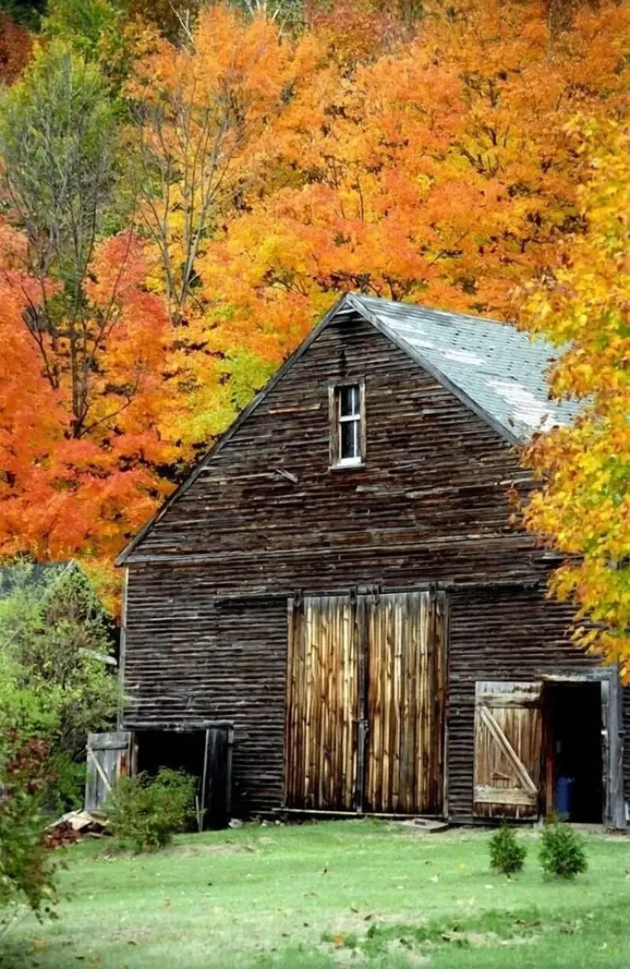 The Maples at Warner